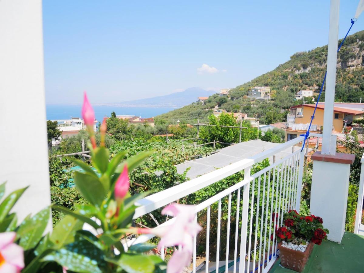 Olindo Apartment E Cristina Apartments Vico Equense Exteriör bild